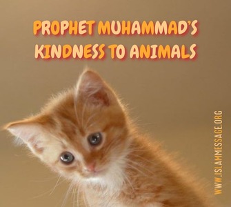 PROPHET MUHAMMAD'S KINDNESS TO ANIMALS