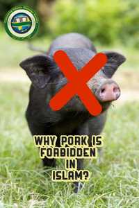 WHY PORK IS FORBIDDEN IN ISLAM