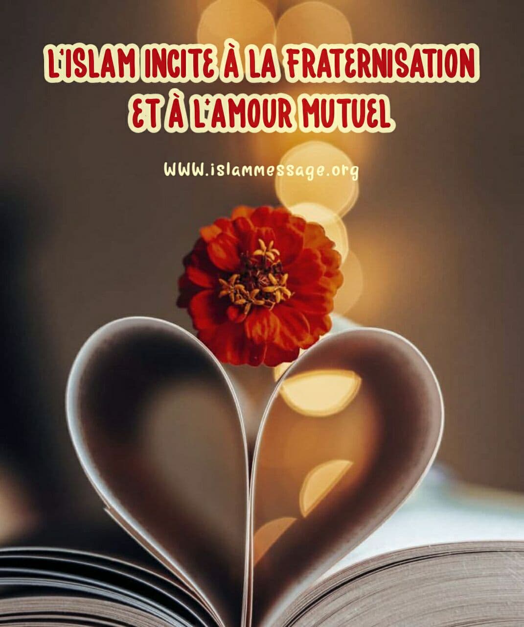 L Islam Incite A La Fraternisation Et A L Amour Mutuel